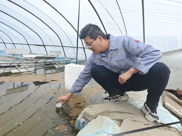 盐碱地里“挖”出大商机——马来西亚企业逐梦中国
