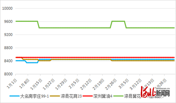 河北省花生创新团队产业经济岗发布2026年第一季度花生价格走势分析