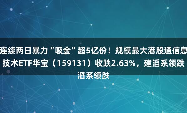 连续两日暴力“吸金”超5亿份！规模最大港股通信息技术ETF华宝（159131）收跌2.63%，建滔系领跌