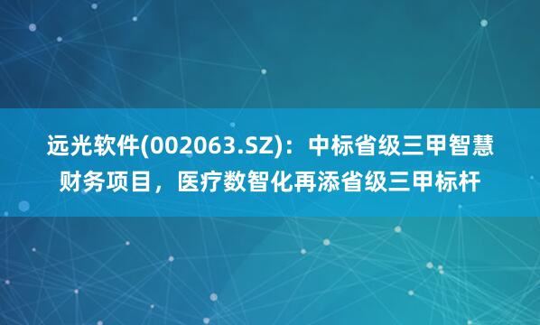远光软件(002063.SZ)：中标省级三甲智慧财务项目，医疗数智化再添省级三甲标杆