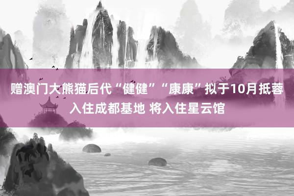 赠澳门大熊猫后代“健健”“康康”拟于10月抵蓉入住成都基地 将入住星云馆