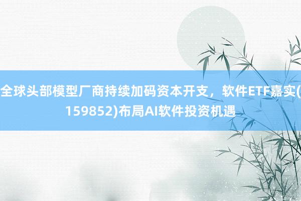 全球头部模型厂商持续加码资本开支，软件ETF嘉实(159852)布局AI软件投资机遇