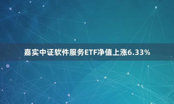 嘉实中证软件服务ETF净值上涨6.33%