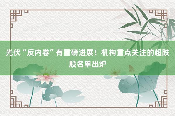 光伏“反内卷”有重磅进展！机构重点关注的超跌股名单出炉