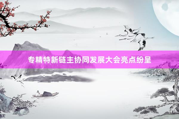 专精特新链主协同发展大会亮点纷呈