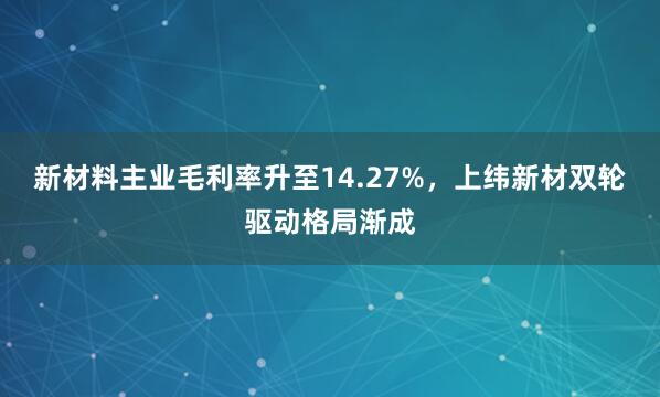 新材料主业毛利率升至14.27%，上纬新材双轮驱动格局渐成
