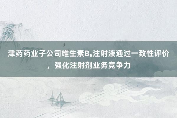津药药业子公司维生素B₆注射液通过一致性评价，强化注射剂业务竞争力