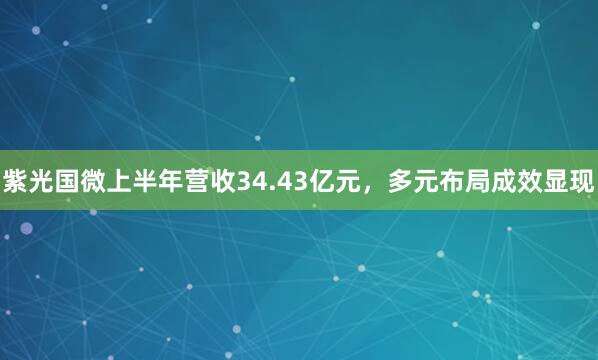紫光国微上半年营收34.43亿元，多元布局成效显现