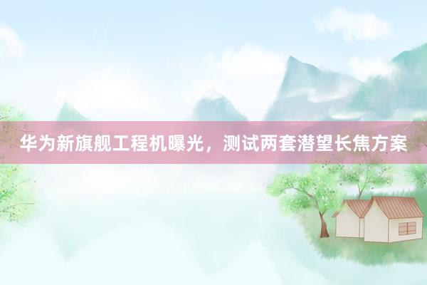 华为新旗舰工程机曝光，测试两套潜望长焦方案