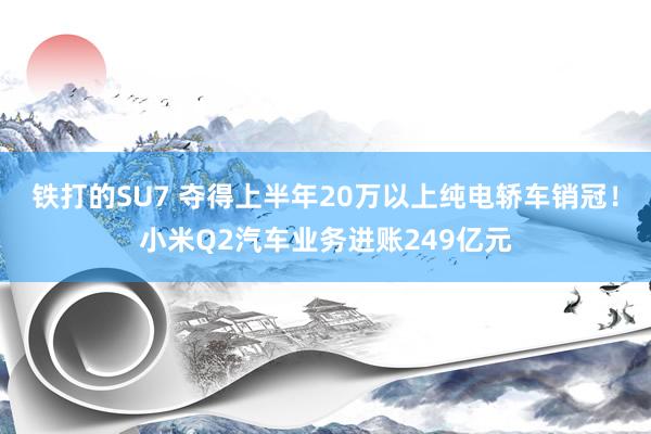 铁打的SU7 夺得上半年20万以上纯电轿车销冠！小米Q2汽车业务进账249亿元
