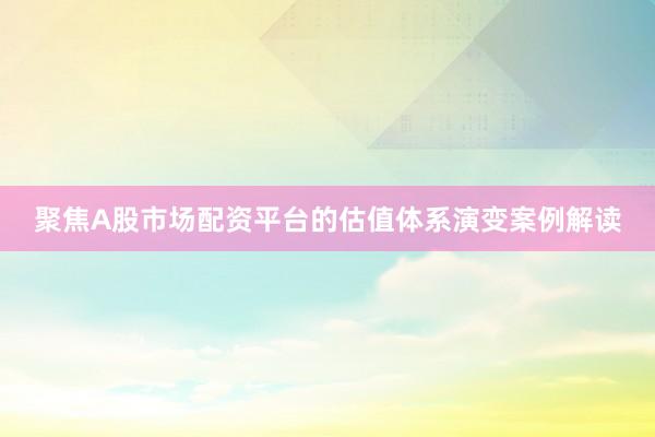 聚焦A股市场配资平台的估值体系演变案例解读