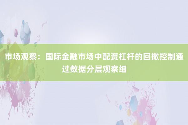 市场观察：国际金融市场中配资杠杆的回撤控制通过数据分层观察细