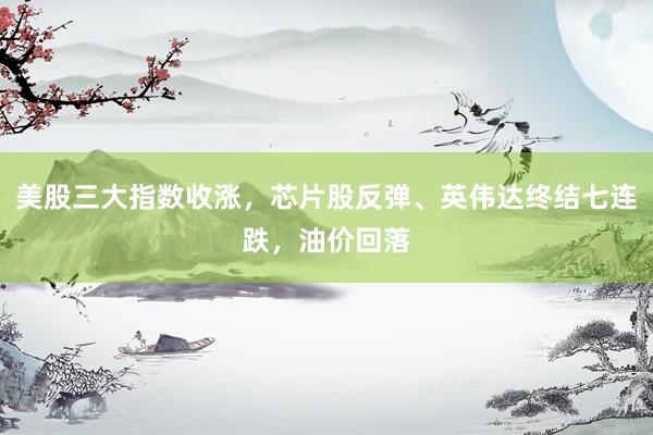 美股三大指数收涨，芯片股反弹、英伟达终结七连跌，油价回落