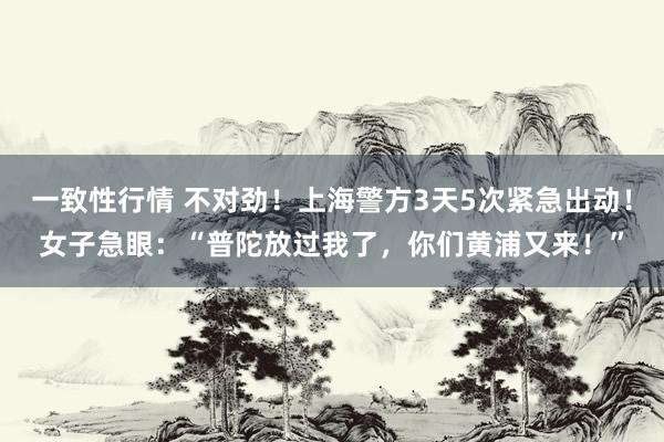 一致性行情 不对劲！上海警方3天5次紧急出动！女子急眼：“普陀放过我了，你们黄浦又来！”