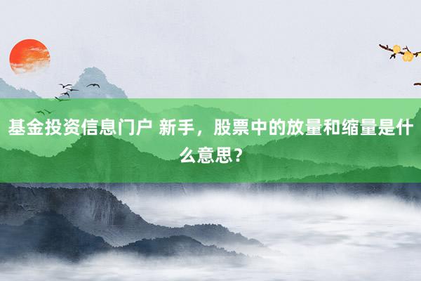 基金投资信息门户 新手，股票中的放量和缩量是什么意思？