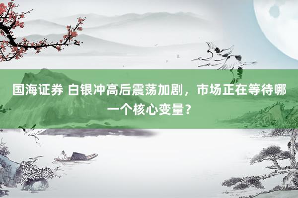 国海证券 白银冲高后震荡加剧，市场正在等待哪一个核心变量？