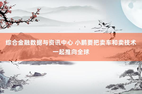 综合金融数据与资讯中心 小鹏要把卖车和卖技术一起推向全球