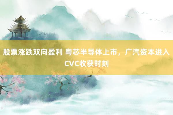 股票涨跌双向盈利 粤芯半导体上市,广汽资本进入CVC收获时刻