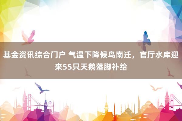 基金资讯综合门户 气温下降候鸟南迁，官厅水库迎来55只天鹅落脚补给